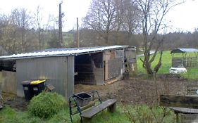 Halte equine
